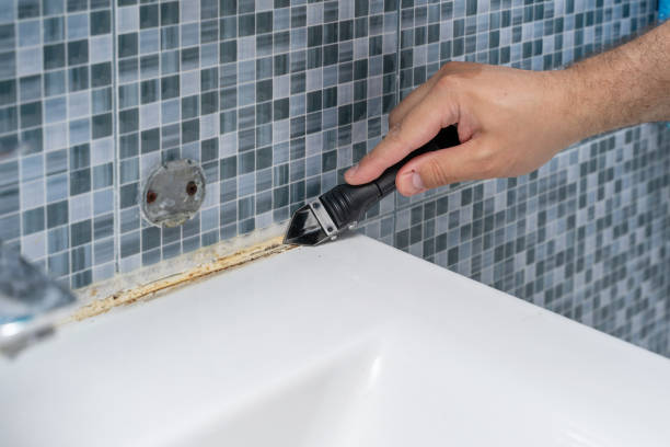 Best Emergency Mold Remediation in Calverton Park, MO