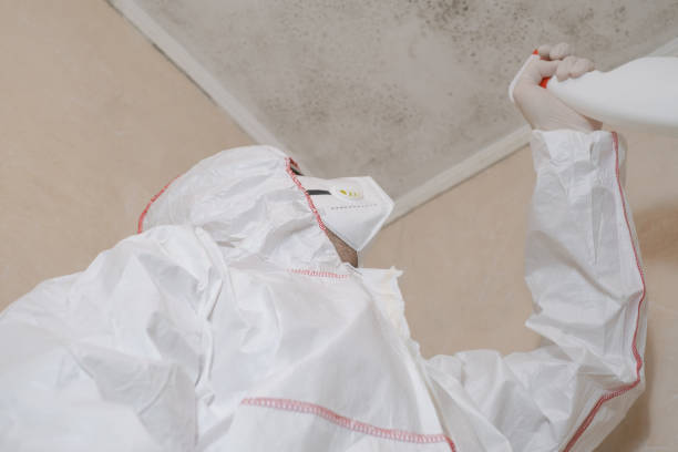 Best Crawl Space Mold Remediation in Calverton Park, MO